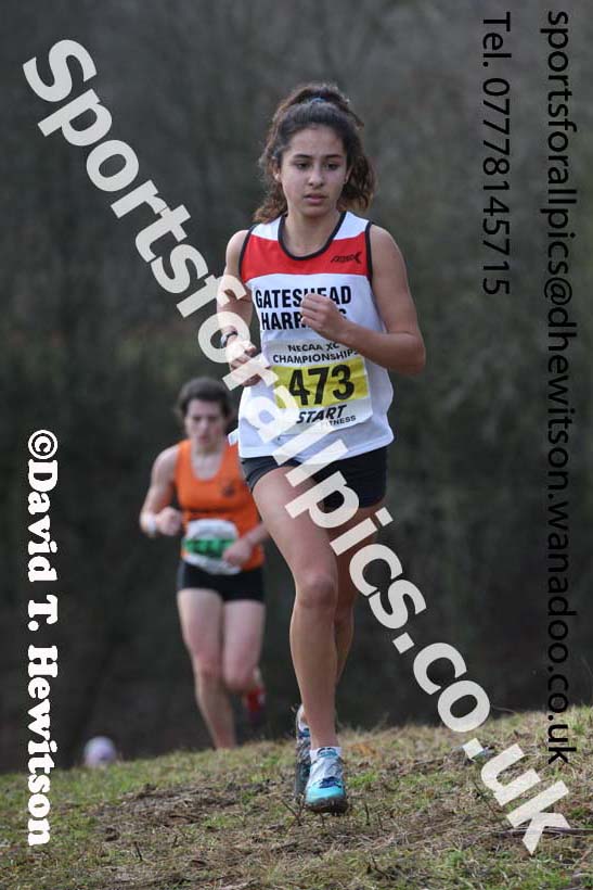 Womens under-17s and 20s North Eastern Cross Country, Aykley Heads, Durham. Photo: David T. Hewitson/Sports for All Pics